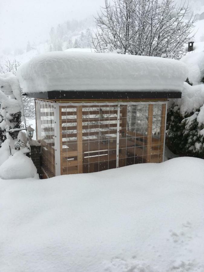 Haus Ladner Apartment See